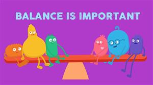 media balance